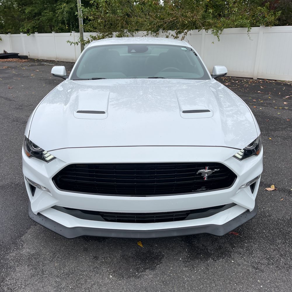 2019 Ford Mustang GT Premium