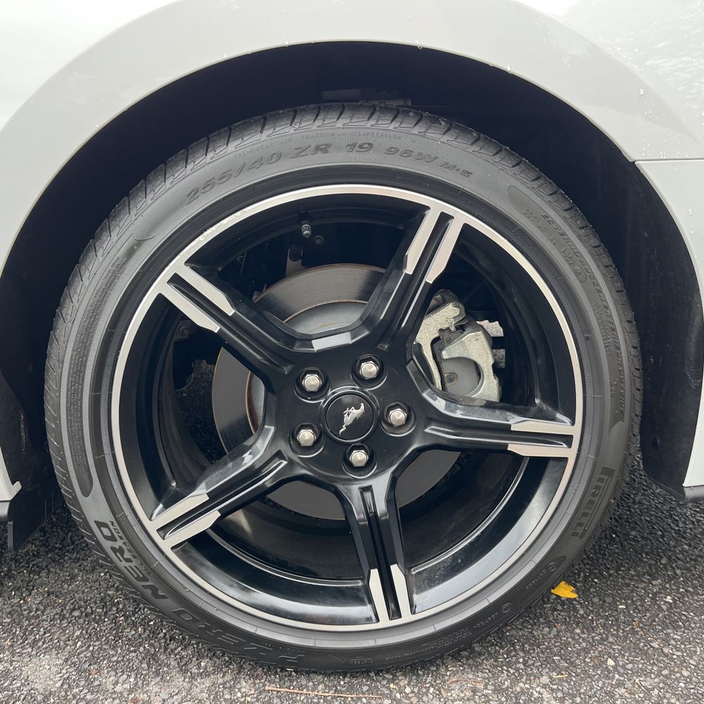 2019 Ford Mustang GT Premium
