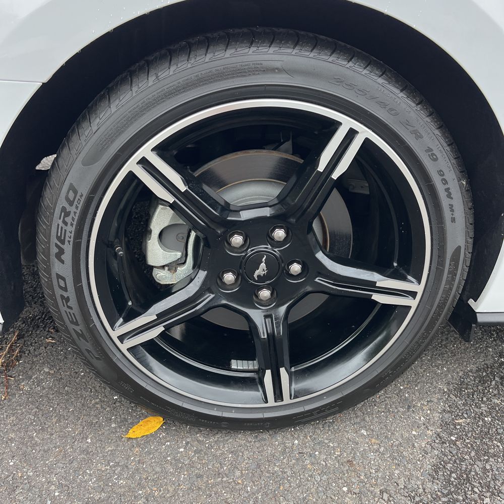 2019 Ford Mustang GT Premium