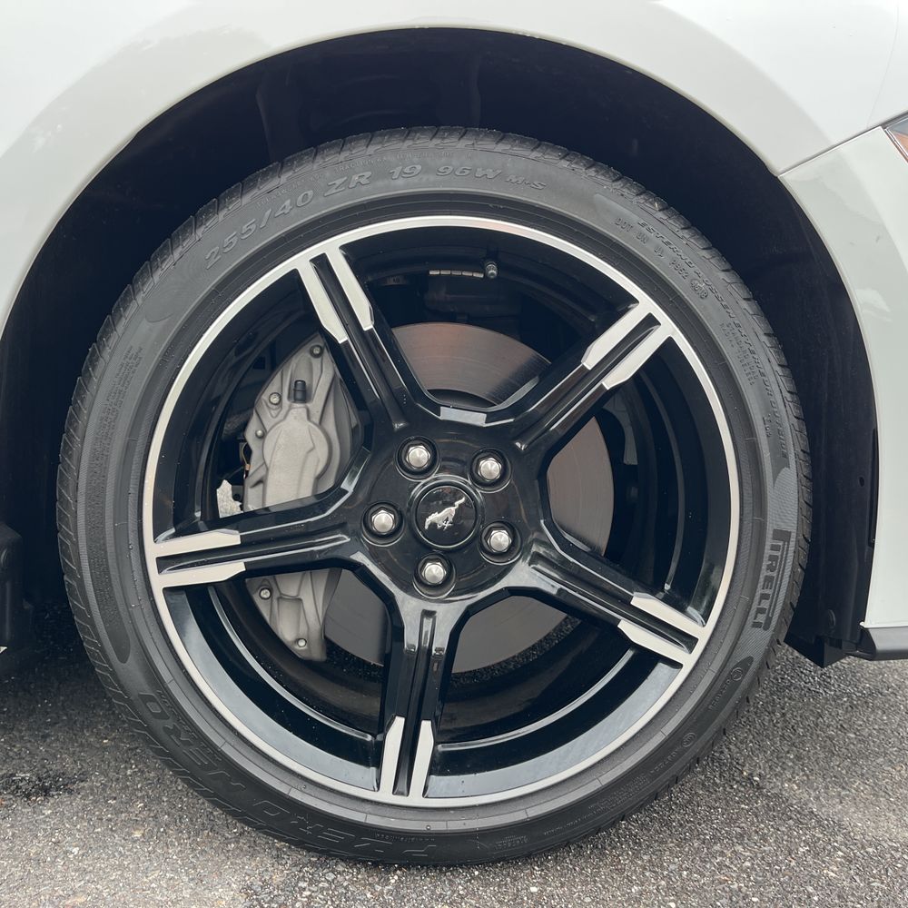 2019 Ford Mustang GT Premium