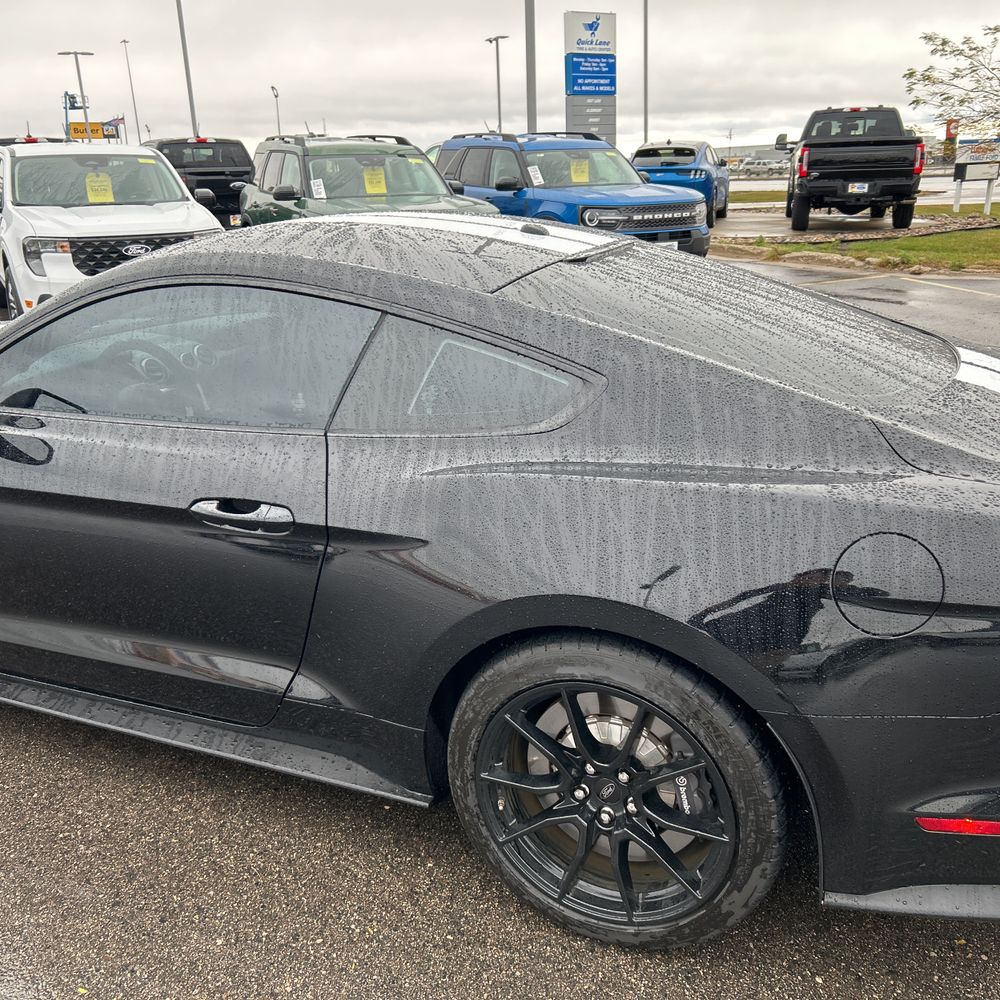 2019 Ford Mustang Shelby GT350