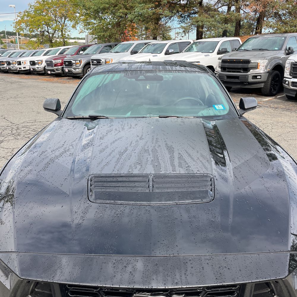 2024 Ford Mustang Dark Horse
