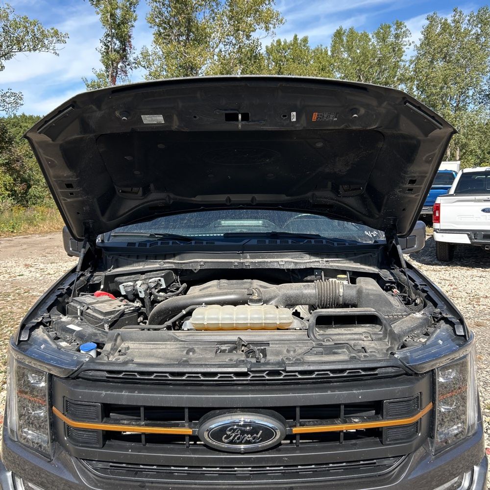 2023 Ford F150 Tremor