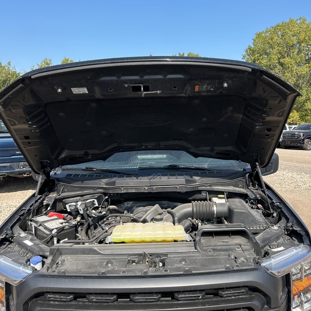 2023 Ford F150 XLT