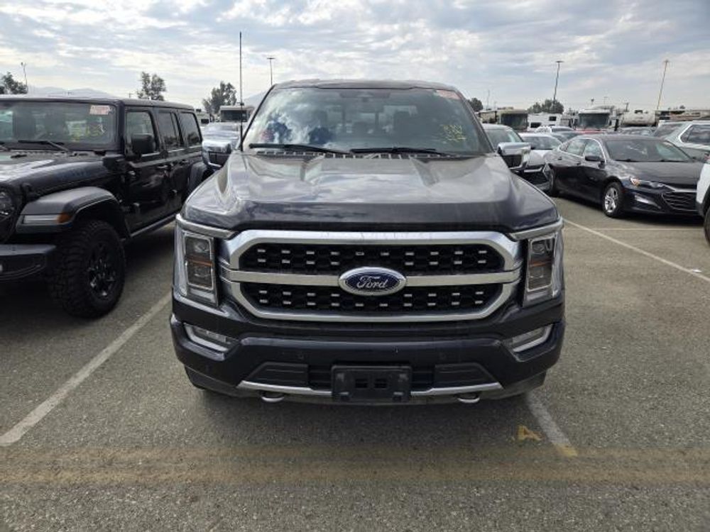 2023 Ford F-150 Platinum