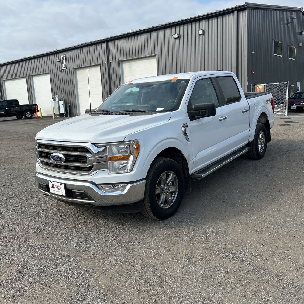 2023 Ford F150 XLT