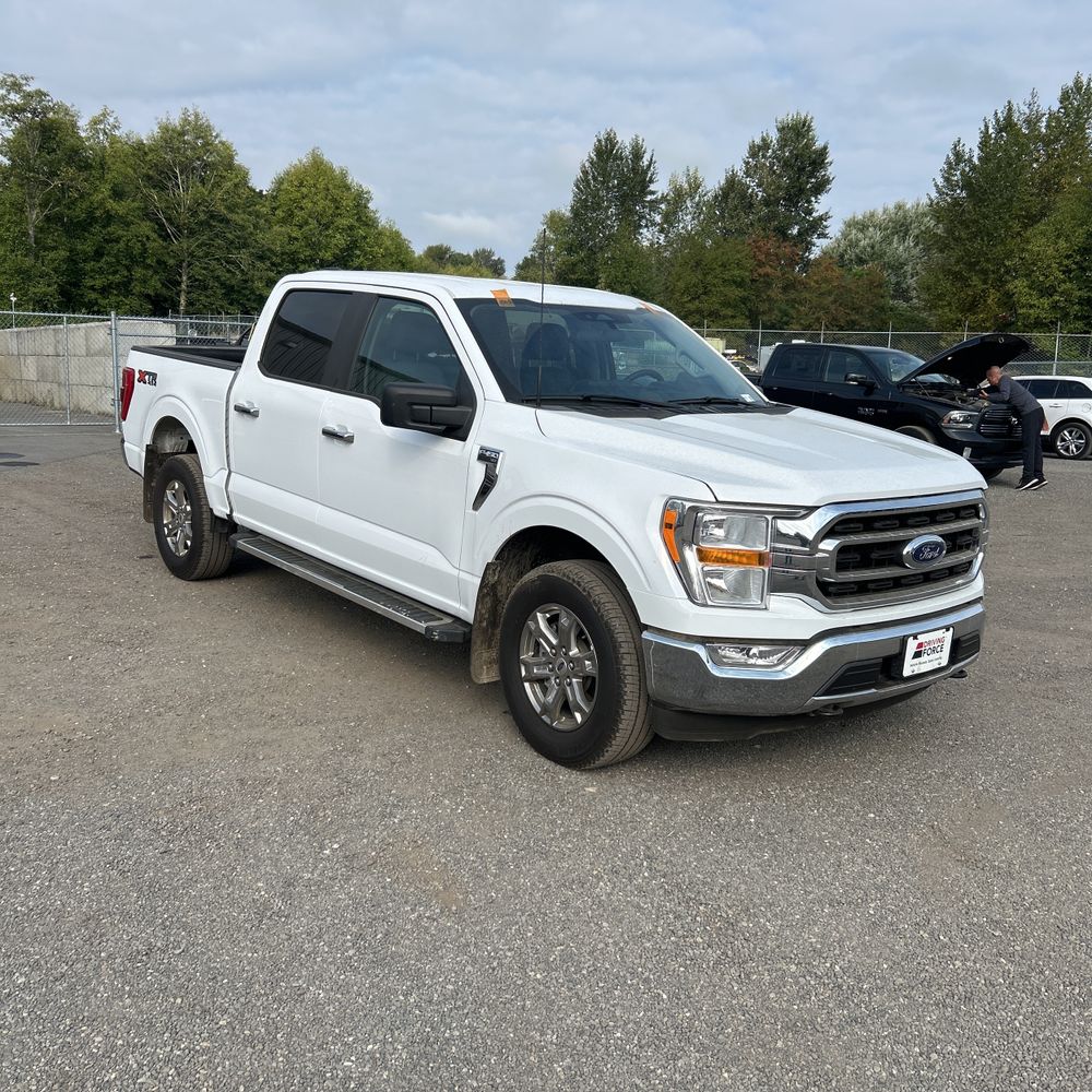 2023 Ford F150 XLT