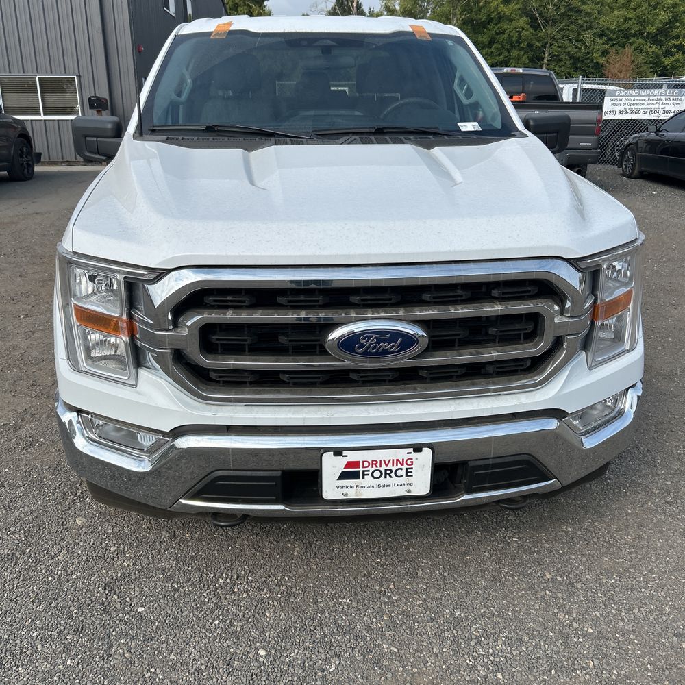 2023 Ford F150 XLT