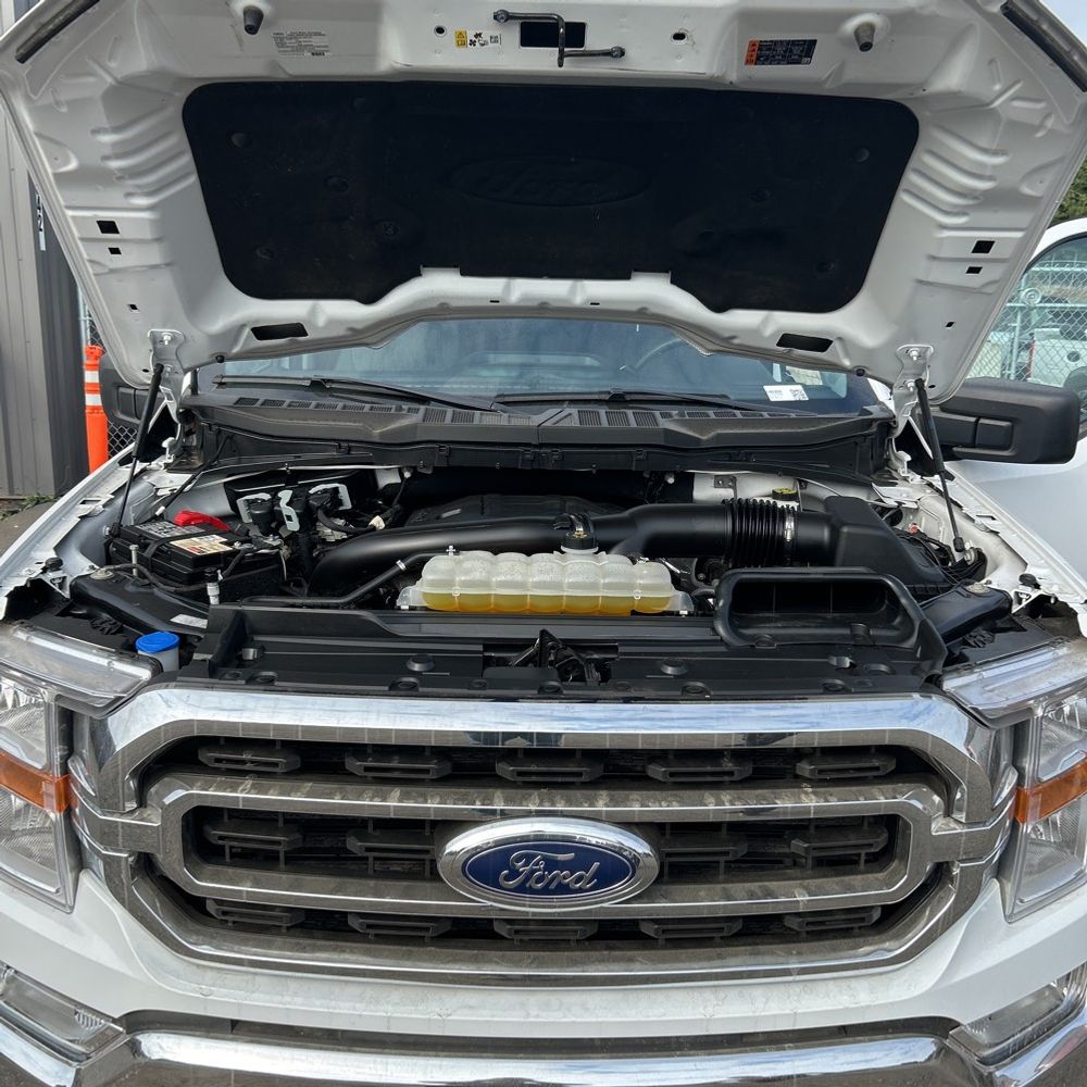 2023 Ford F150 XLT
