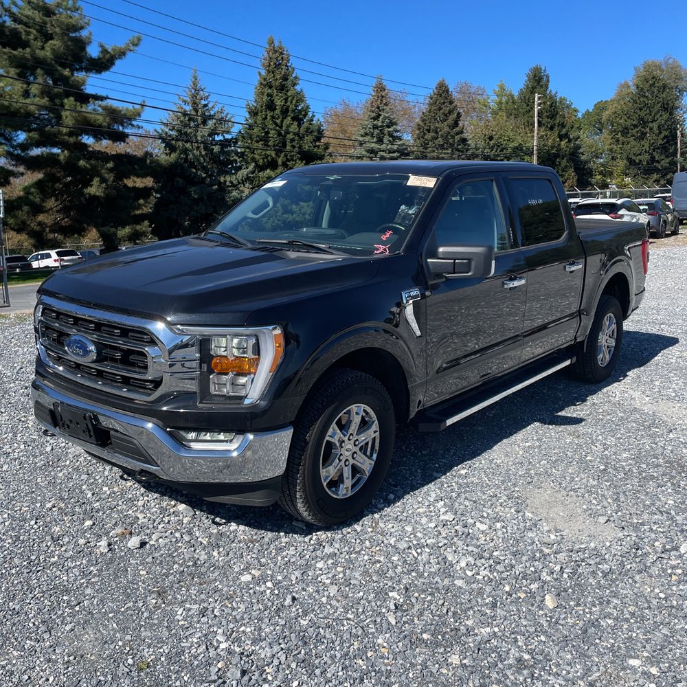 2023 Ford F150 XLT