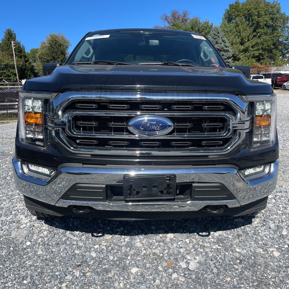 2023 Ford F150 XLT