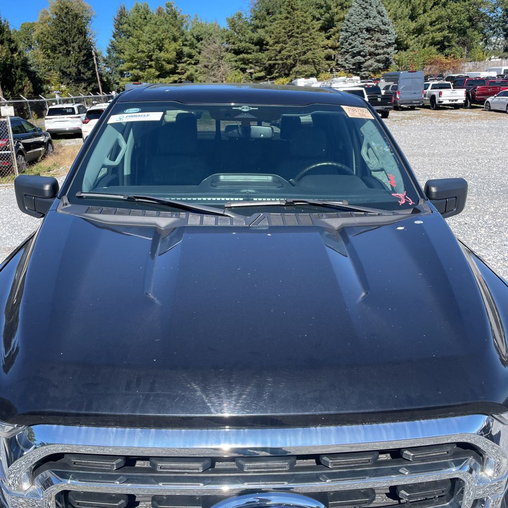 2023 Ford F150 XLT