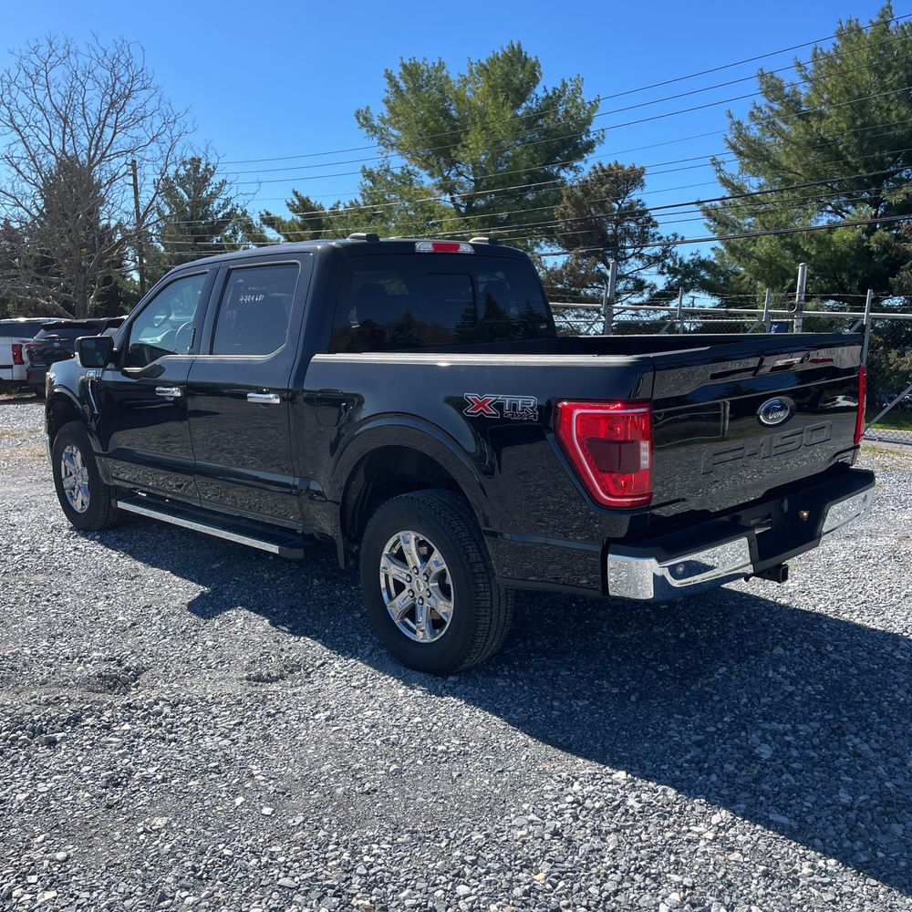 2023 Ford F150 XLT