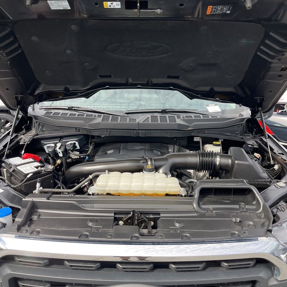 2023 Ford F150 XLT
