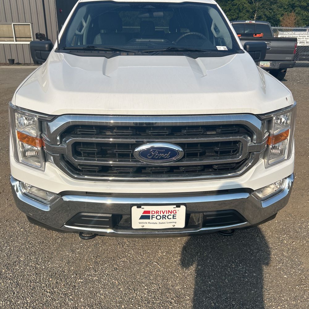 2023 Ford F150 XLT