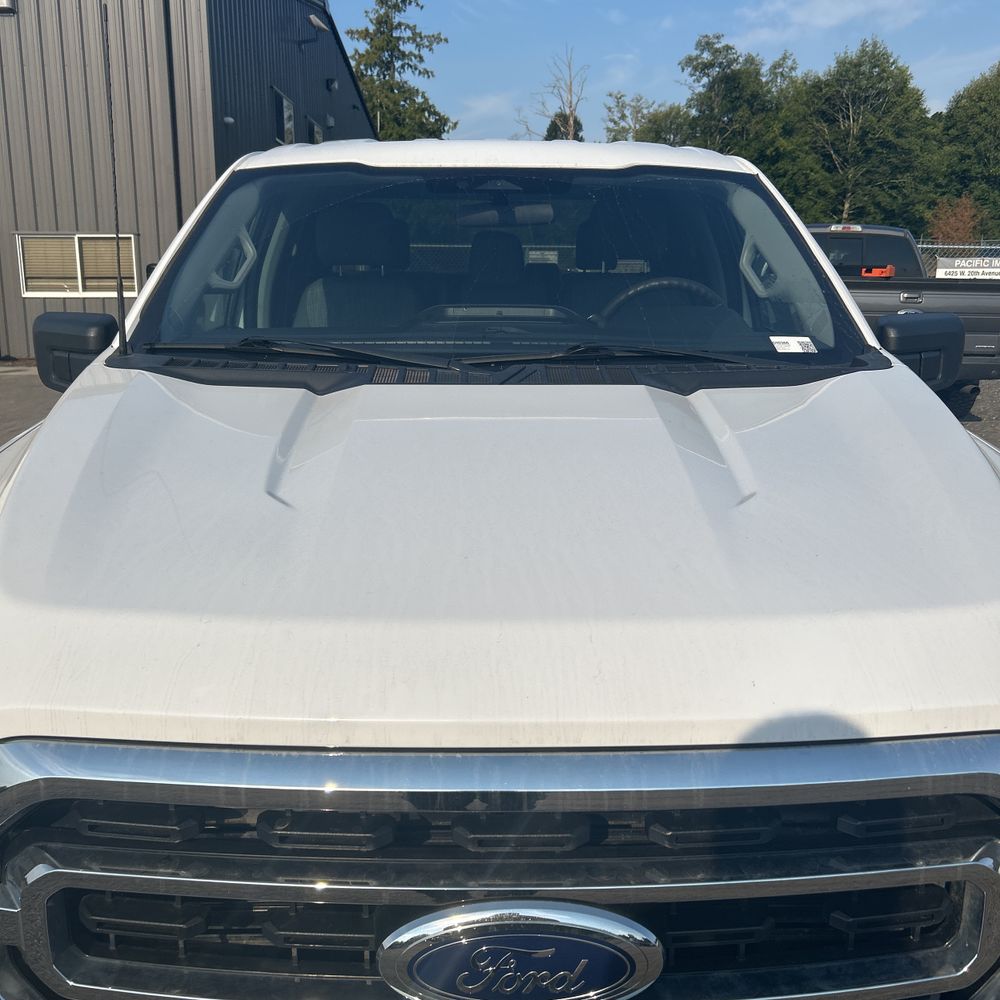 2023 Ford F150 XLT