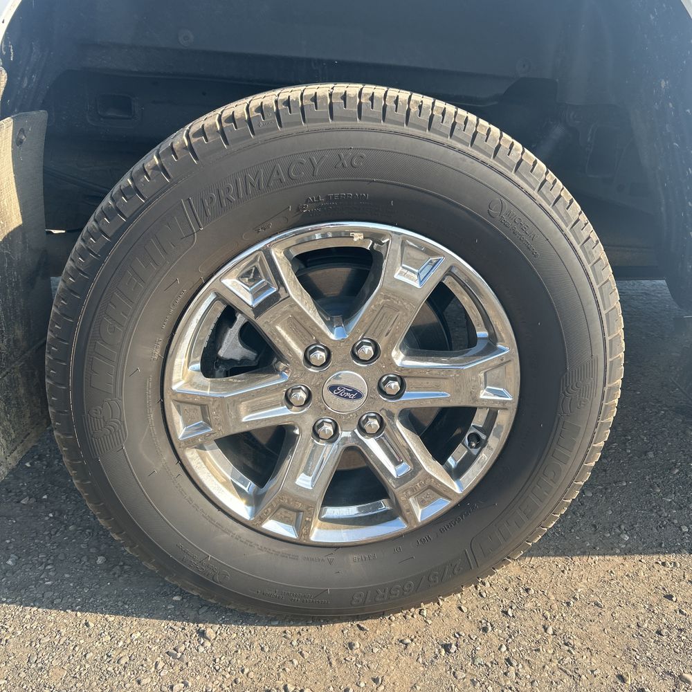 2023 Ford F150 XLT