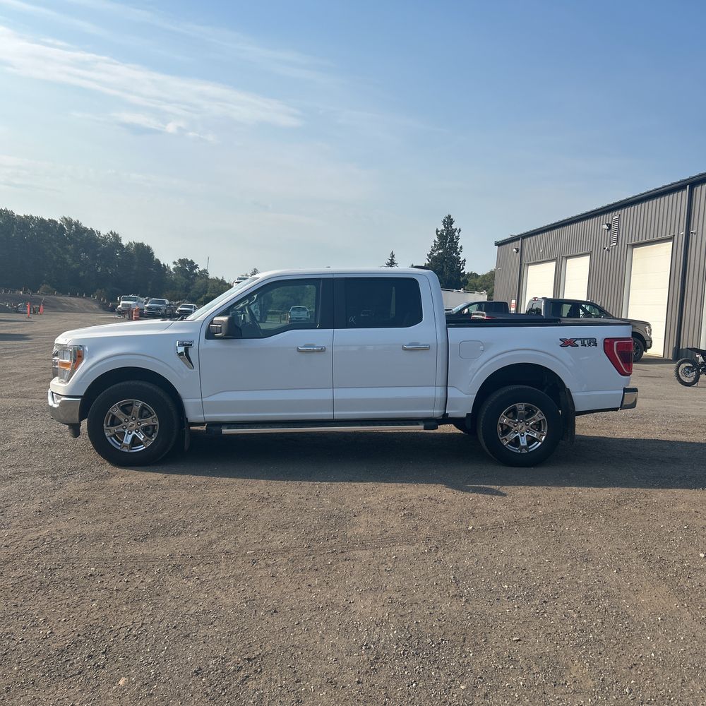 2023 Ford F150 XLT