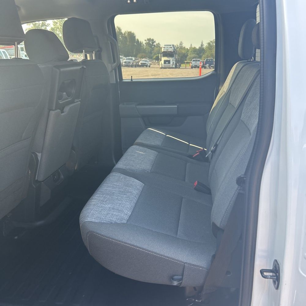2023 Ford F150 XLT