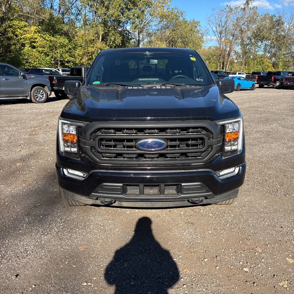 2023 Ford F150 XLT