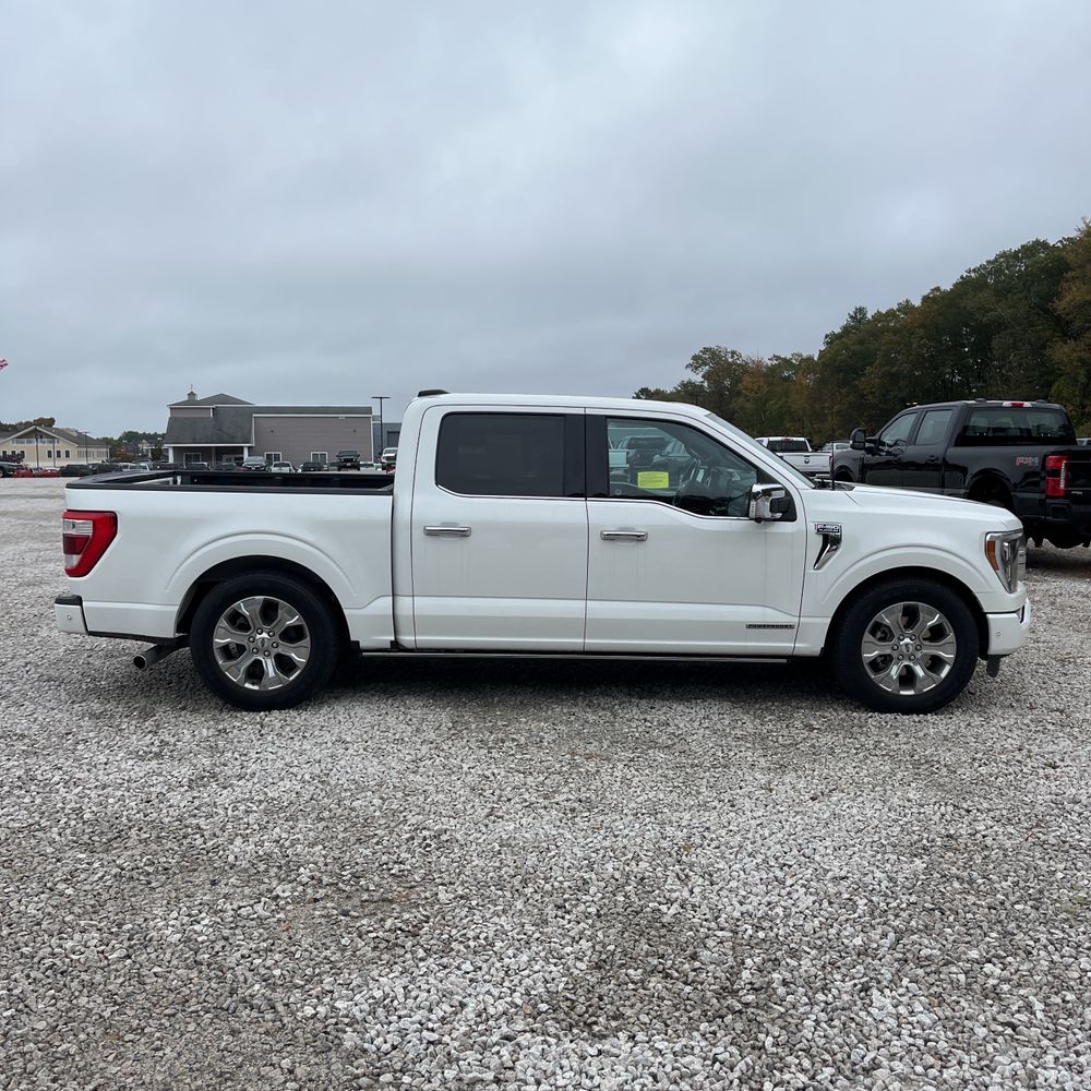 2022 Ford F-150 Platinum