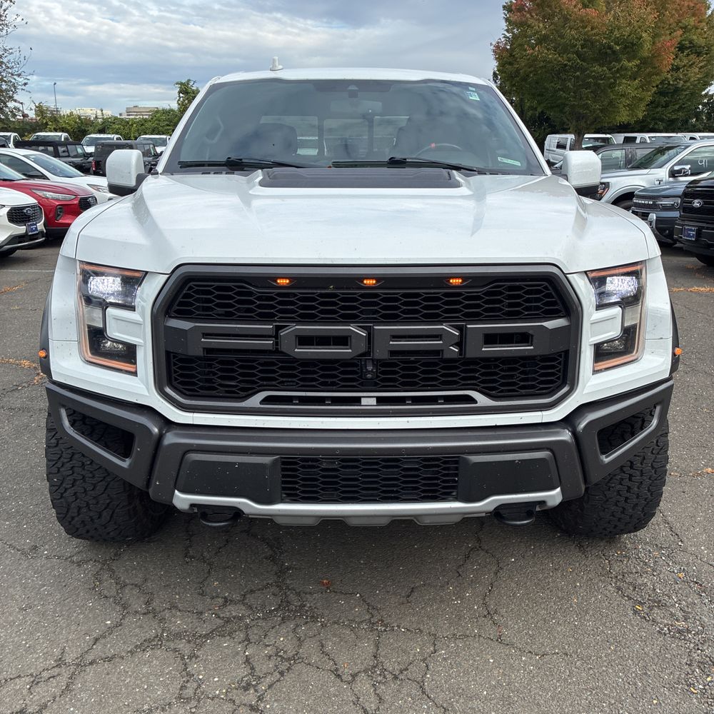 2019 Ford F-150 Raptor