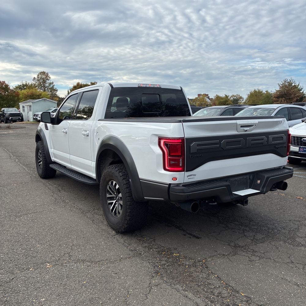 2019 Ford F-150 Raptor