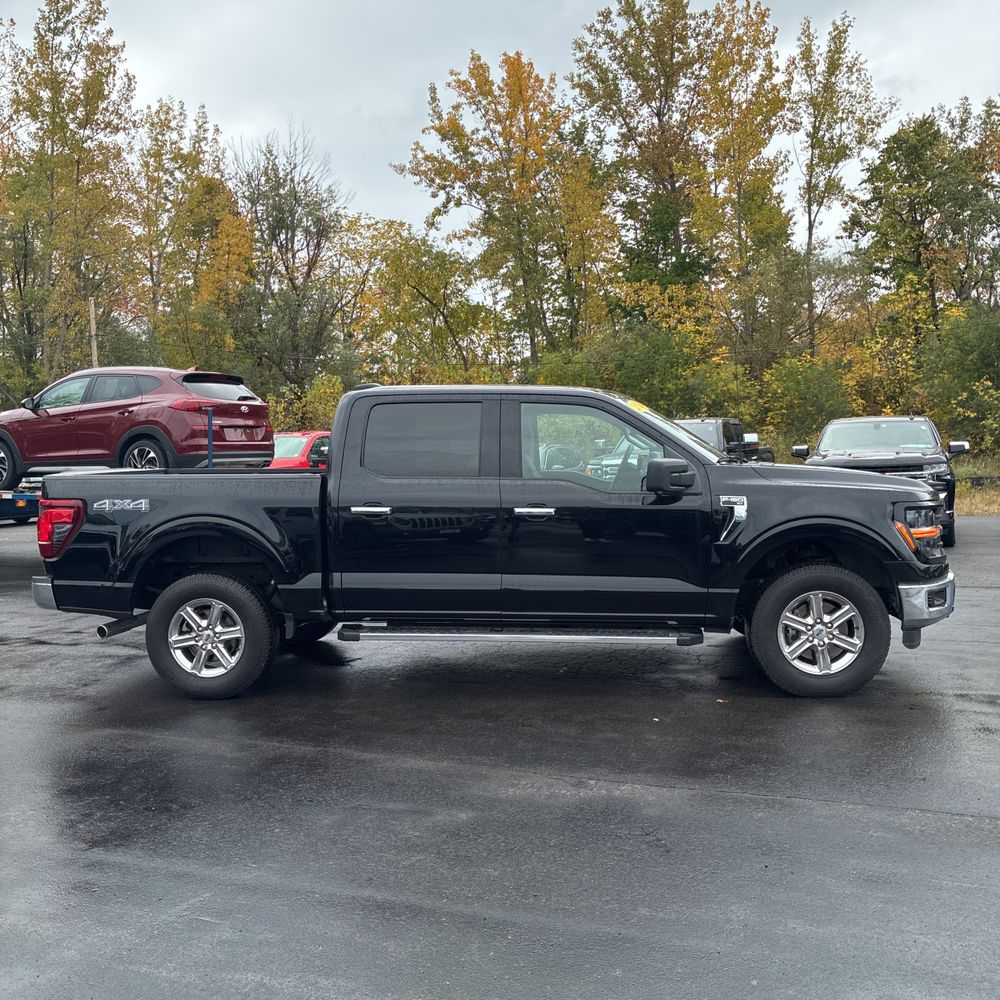 2024 Ford F150 XLT