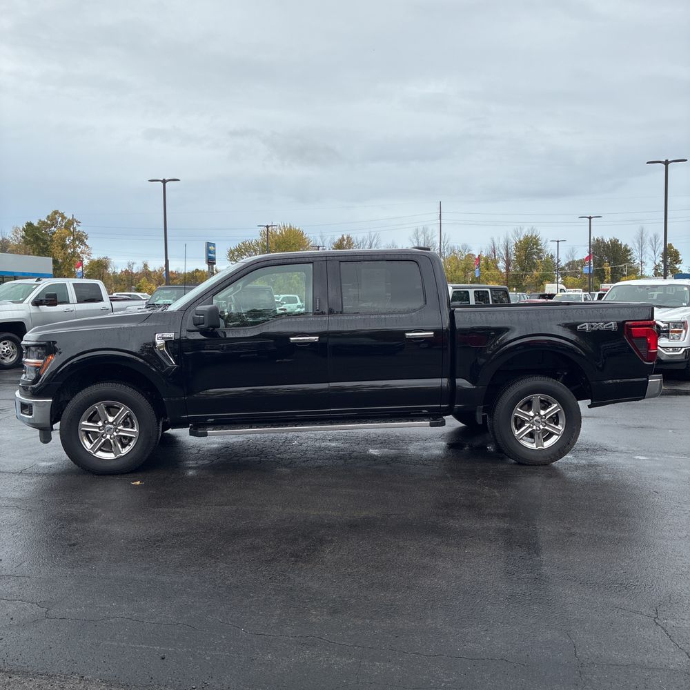 2024 Ford F150 XLT