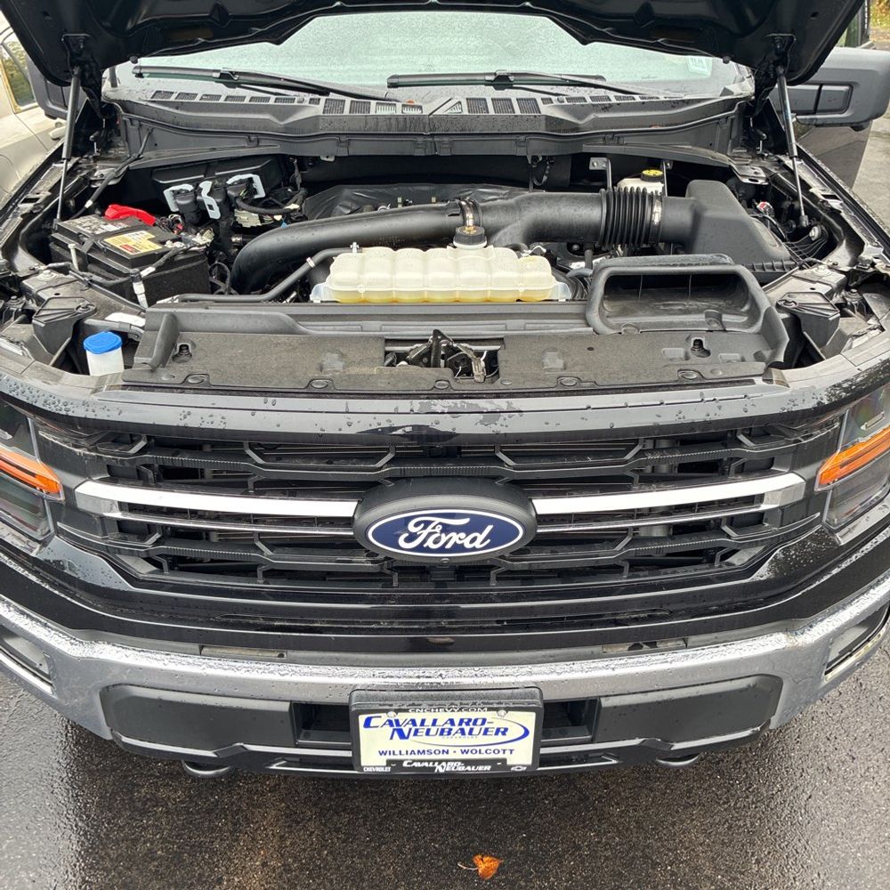 2024 Ford F150 XLT