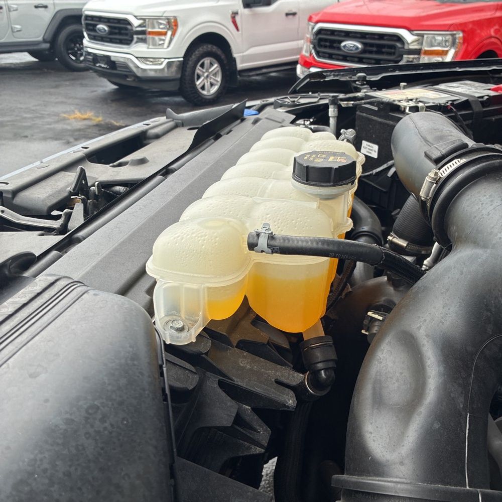 2024 Ford F150 XLT