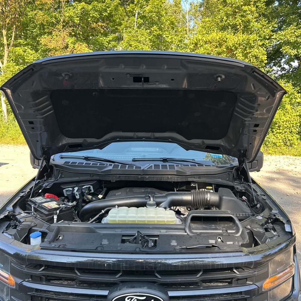 2024 Ford F150 XLT