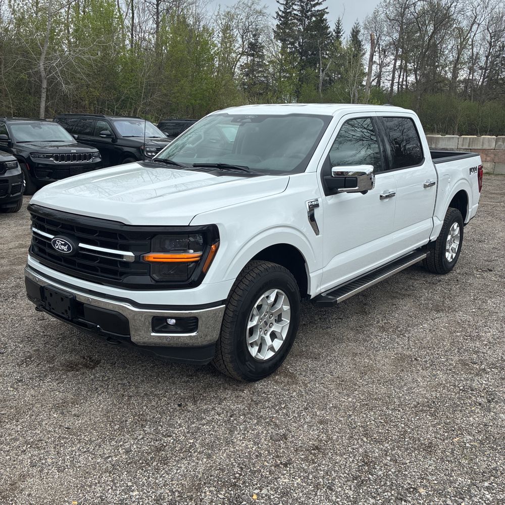 2025 Ford F-150 XLT