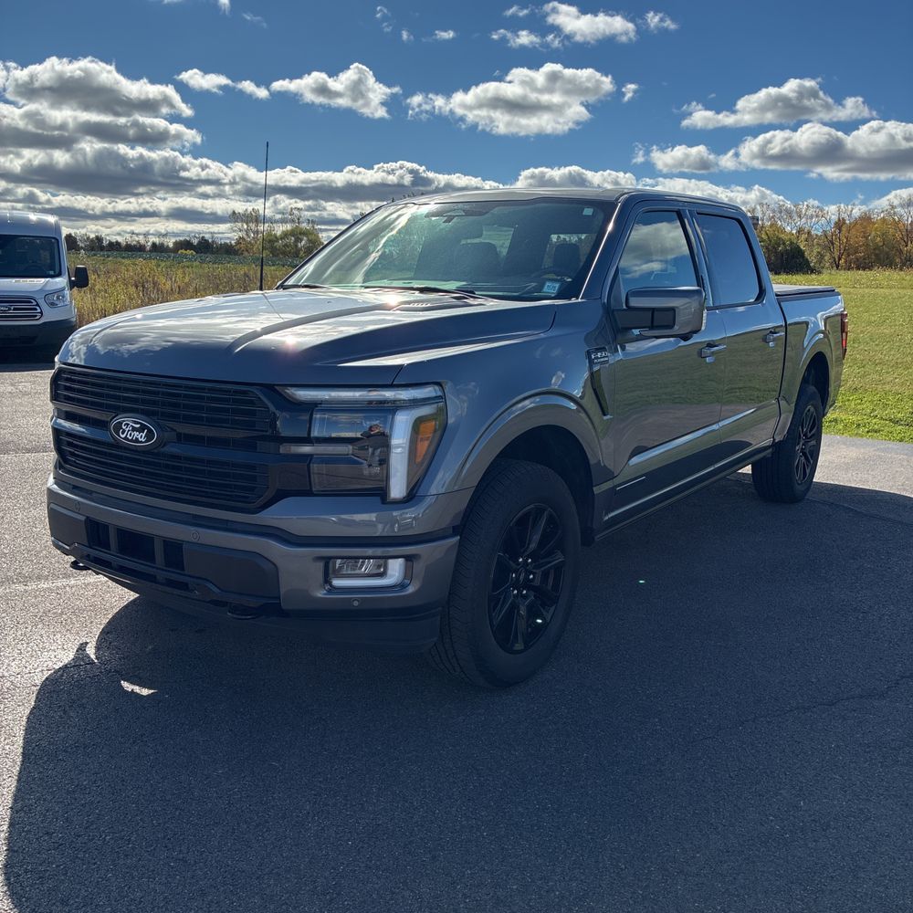 2024 Ford F-150 Platinum