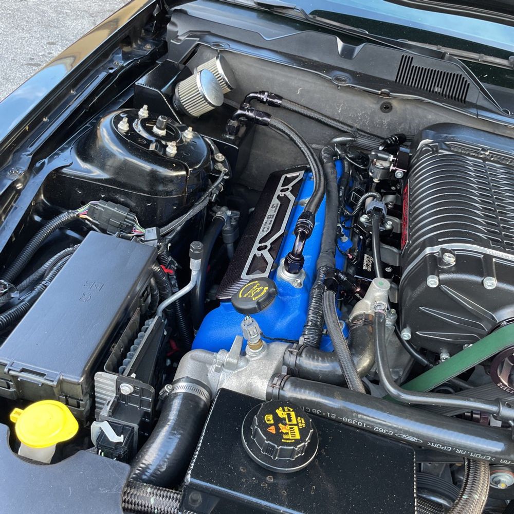 2013 Ford Shelby GT500 Base
