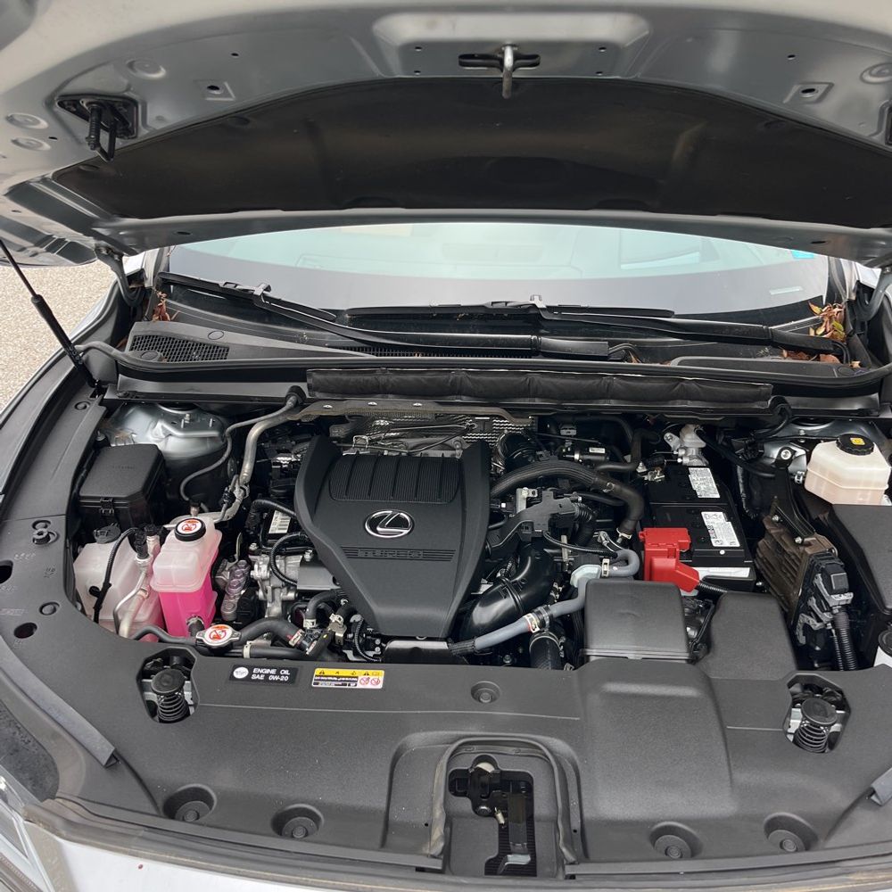 2024 Lexus RX 350 Premium+