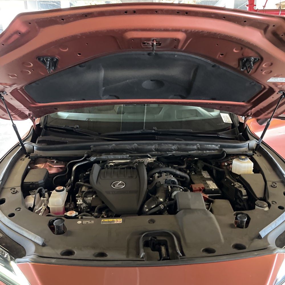 2023 Lexus RX 350 Premium+