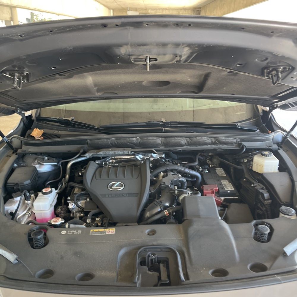 2023 Lexus RX 350 Premium+