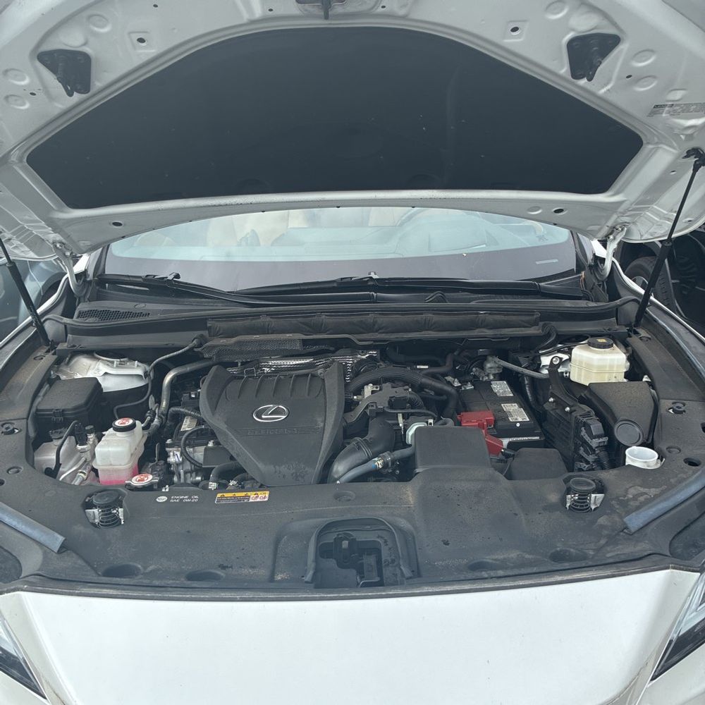 2024 Lexus RX 350 Premium+