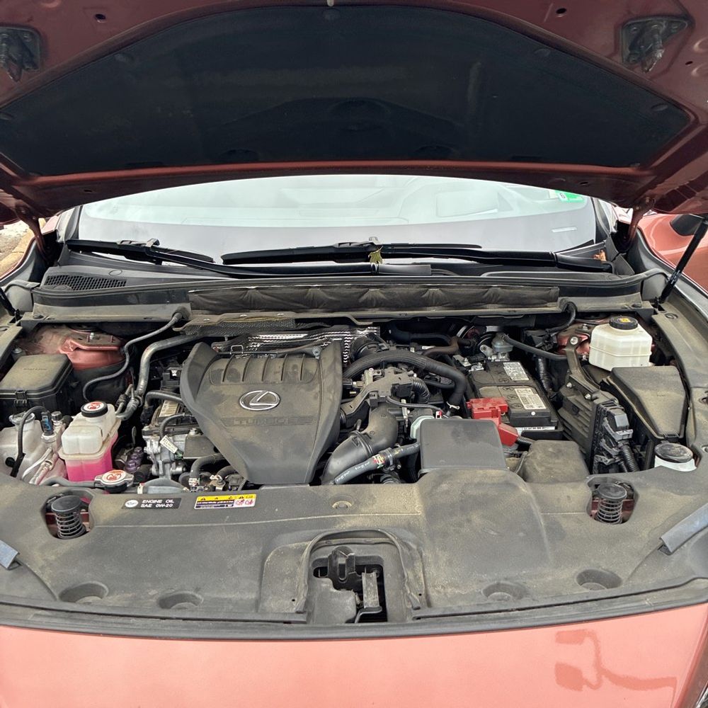 2023 Lexus RX 350 Premium+