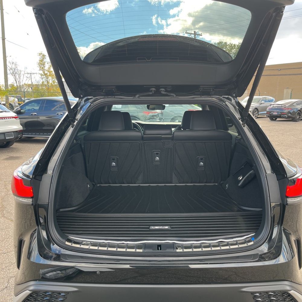 2024 Lexus RX-Series RX350 F SPORT 1