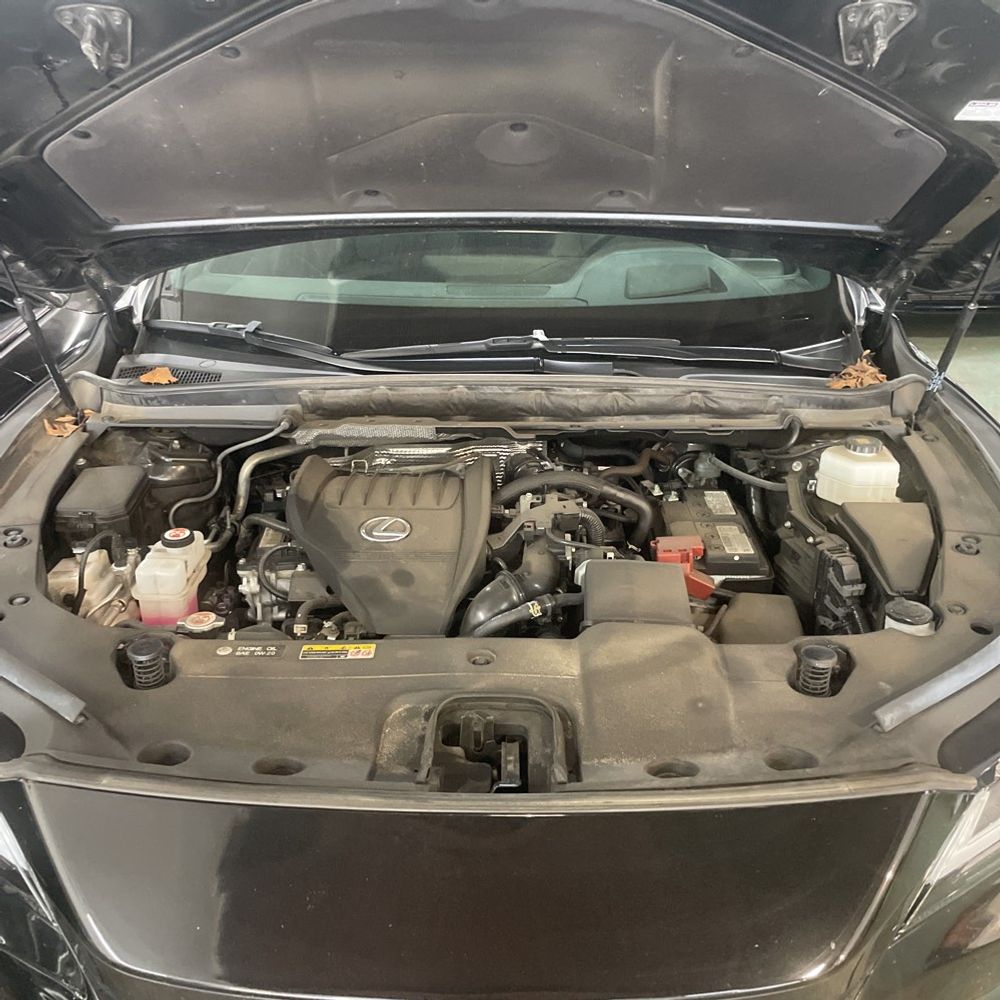2023 Lexus RX 350 Premium+