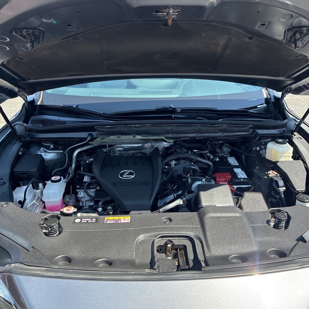 2023 Lexus RX 350 Premium+
