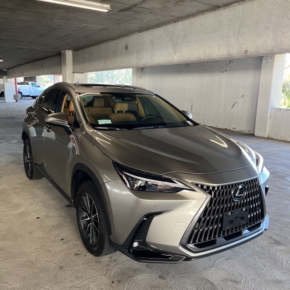 2025 Lexus NX 250 Premium