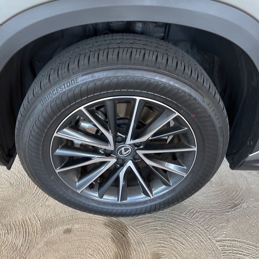 2025 Lexus NX 250 Premium