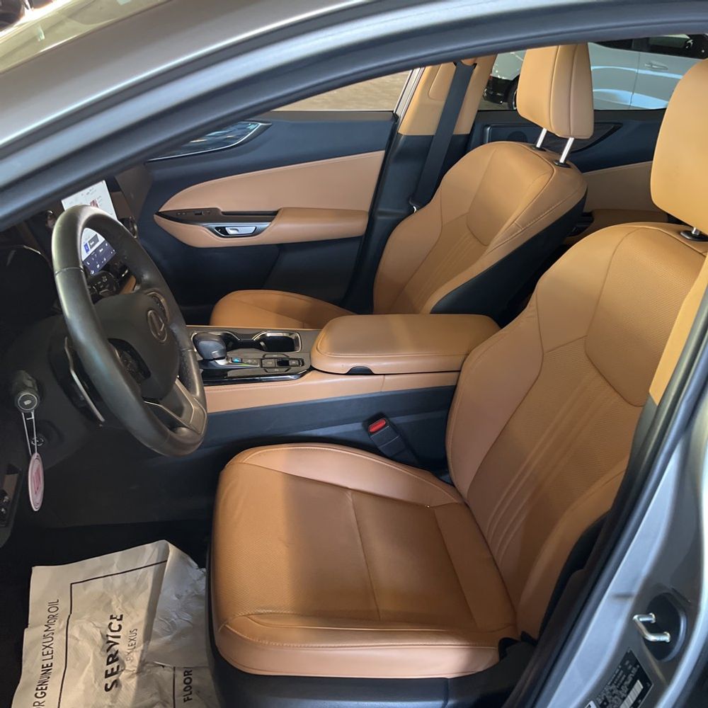 2025 Lexus NX 250 Premium