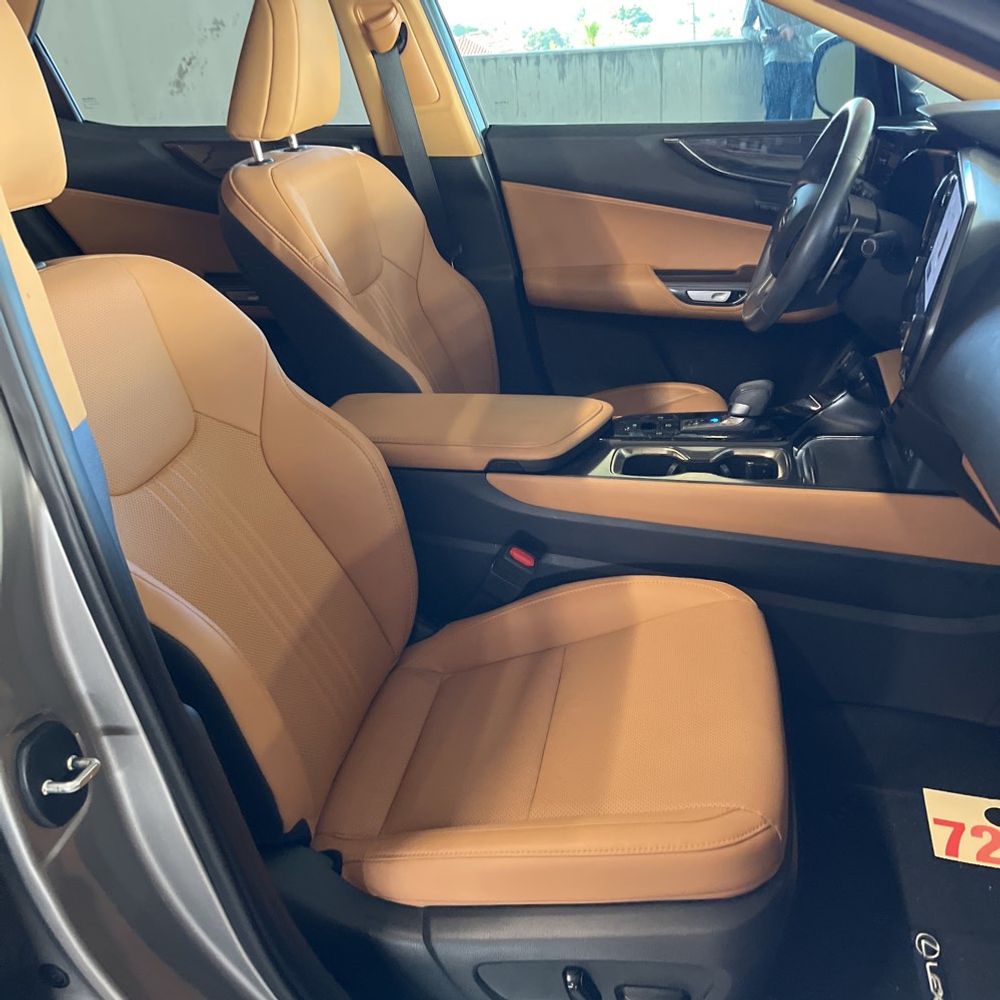 2025 Lexus NX 250 Premium