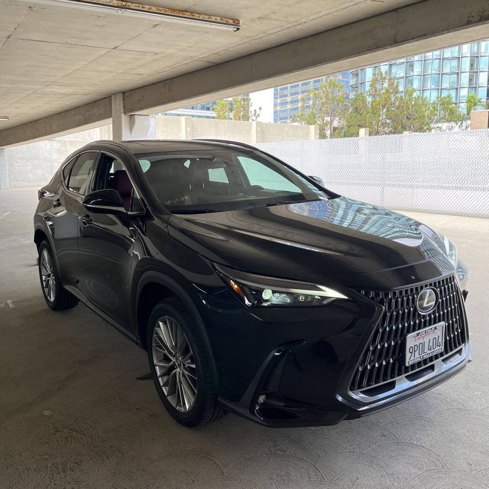 2025 Lexus NX 350 Premium