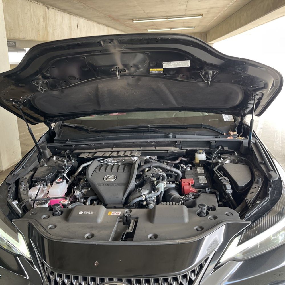 2025 Lexus NX 350 Premium