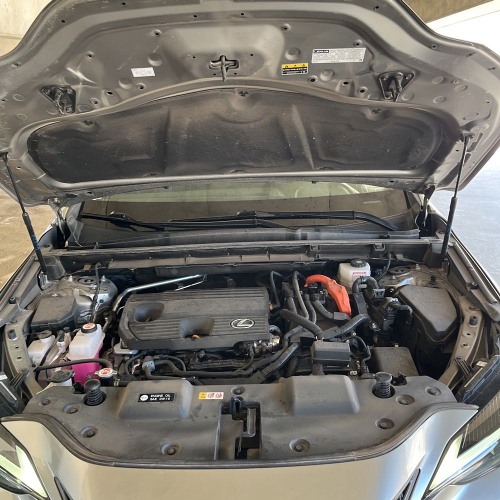 2024 Lexus NX 350h Premium